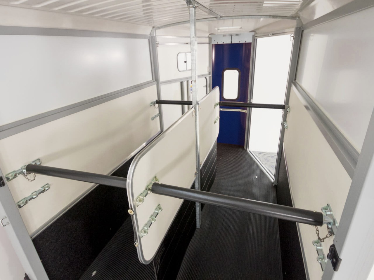 Ifor Williams Remolque para caballos HB511-Portones traseros-Combinación de puertas-azul-Nuevo - Imagen 3